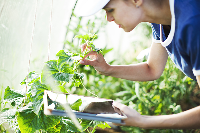 Mujer atendiendo su huerta