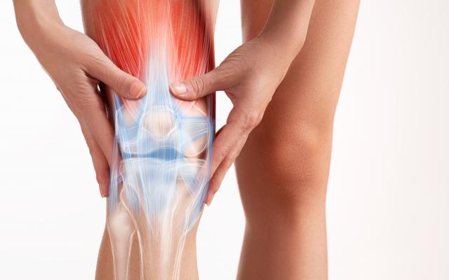 Difuminar loto lema Desgarro muscular: rotura o dolor en el músculo y tendón – Bupa