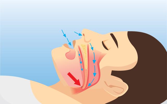 Abro la NUTRIA VIRAL que RESPIRA y DUERME ✂️ ¿Tiene Pulmones? ¿Ayuda a  Dormir Realmente? 