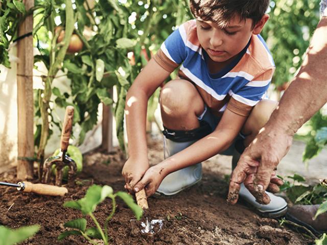 Niño sembrando en su huerta