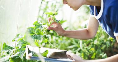 Mujer atendiendo su huerta