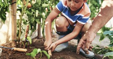 Niño sembrando en su huerta